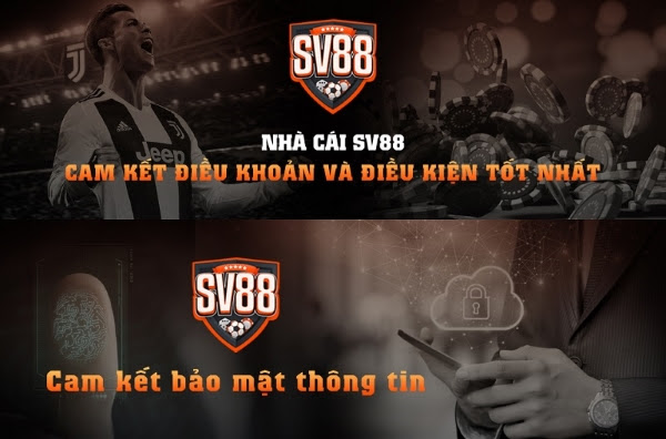 SV88 - Nhà cái bóng đá cá cược đẳng cấp nhất - Ảnh 2