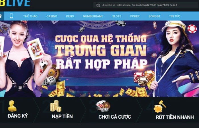 8Live - Đánh giá chi tiết nhà cái cá cược số 1 hiện nay - Ảnh 5