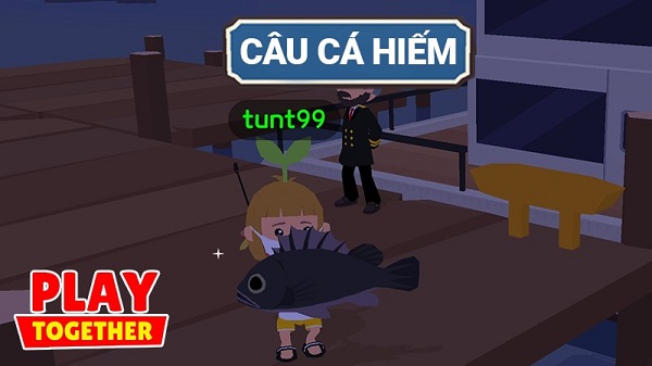 Hack Play Together câu cá hiếm, full tiền và lọc bóng 5 - Ảnh 1