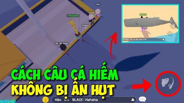 Hack Play Together câu cá hiếm, full tiền và lọc bóng 5 - Ảnh 3