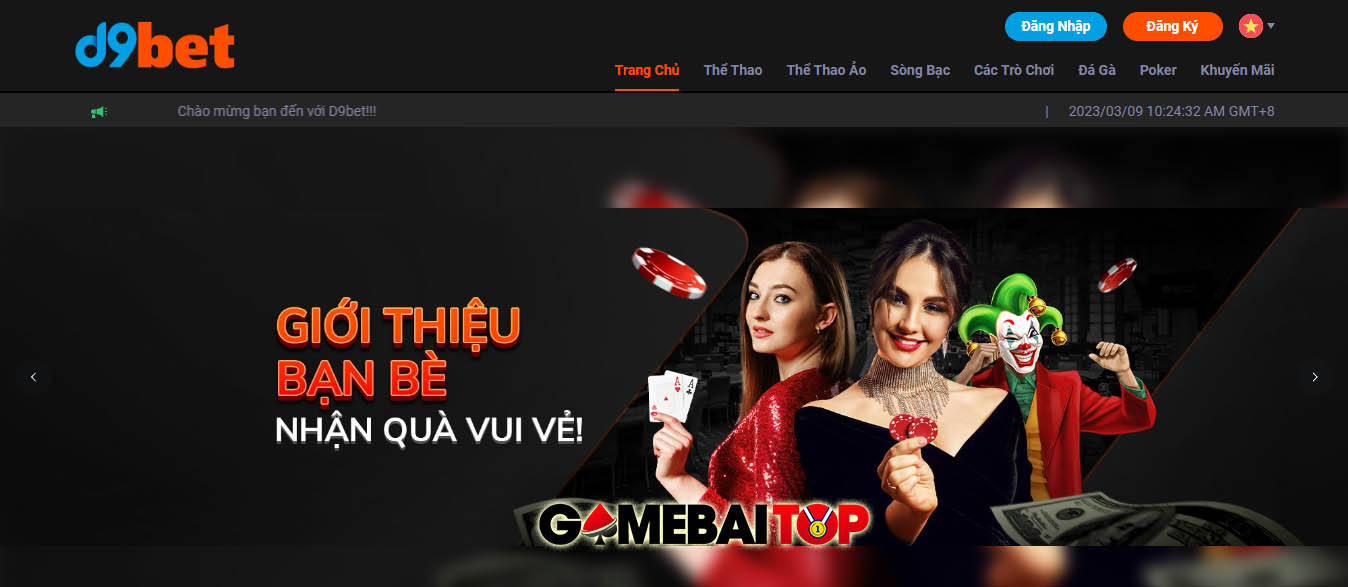 D9Bet - Nhà cái cá cược được nhiều người yêu thích nhất hiện nay - Ảnh 1